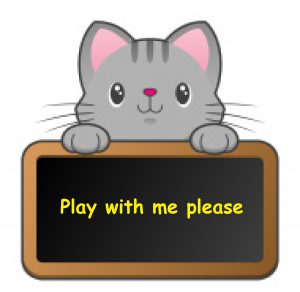 Play with me please