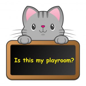 Is this my playroom?